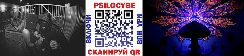сколько стоит  Приозерск  Псилоцибиновые грибы мухоморы 